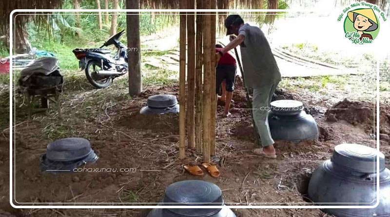Công đoạn hạ thổ rượu